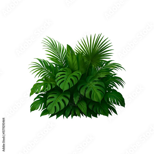 Lush Green Tropical Foliage Featuring Monstera and Palm Leaves Creating a Dense Exotic Botanical Arrangement on a Transparent Background For Creative Projects