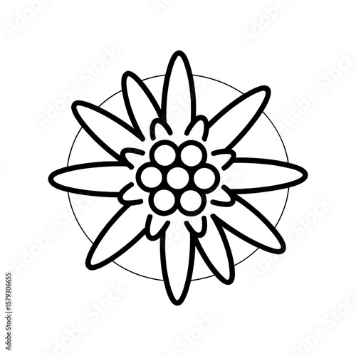 Edelweiss alpine flower line art icon, a traditional symbol of the Alps.