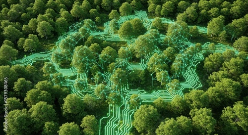 Aerial view of a forest with a glowing digital circuit pattern