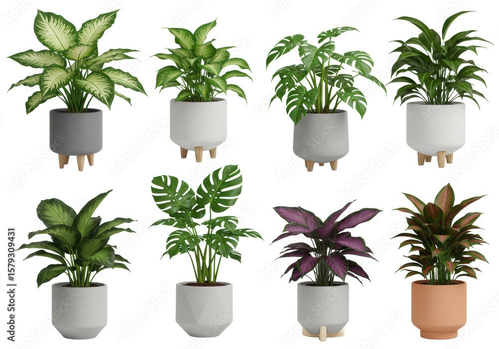 Obraz premium Eight diverse potted houseplants (Dieffenbachia, Monstera, Pothos, Calathea, succulents) in modern geometric ceramic planters, studio, white background, high contrast, clean home decor and indoor