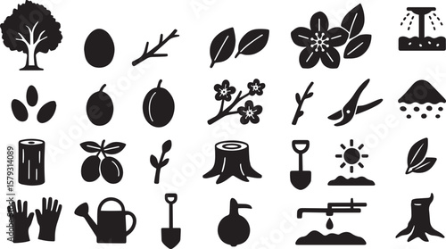 Garden planting and care icons tree seed