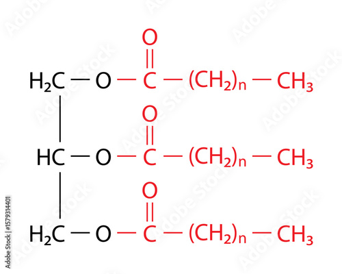 Triacylglycerol (triglyceride) is the primary form of dietary lipid. General structure of a triacylglycerol (TAG) molecule..