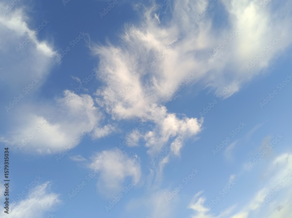 Fototapeta premium Beautiful clouds in a clear blue sky.