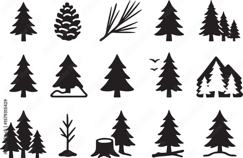 Obraz premium Pine trees cone needles forest conifer evergreen