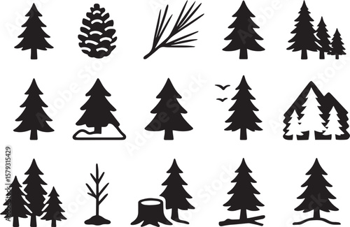 Pine trees cone needles forest conifer evergreen