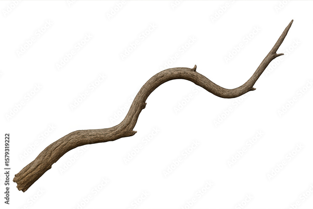 Fototapeta premium Weathered wooden branch curving naturally, isolated on transparent backdrop, perfect for design compositions