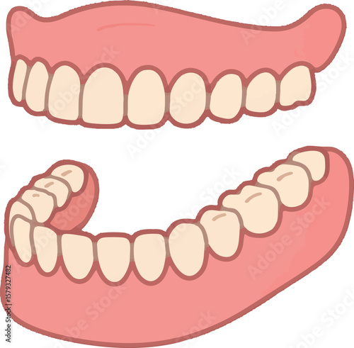 Flat vector removable dentures with top and bottom plates and pink gum detail, isolated on white