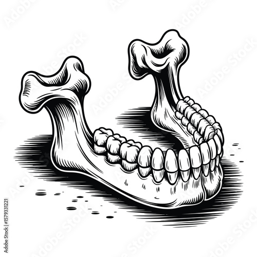 Stylized black and white illustration of a human mandible with teeth