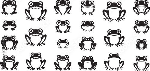 frog vector image