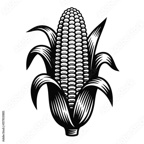 Stylized black and white illustration of a ripe ear of corn with husks