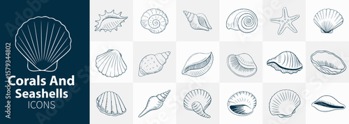 Assorted seashells sketches showcasing ocean life, perfect for nautical themes, illustrations, and various design elements.