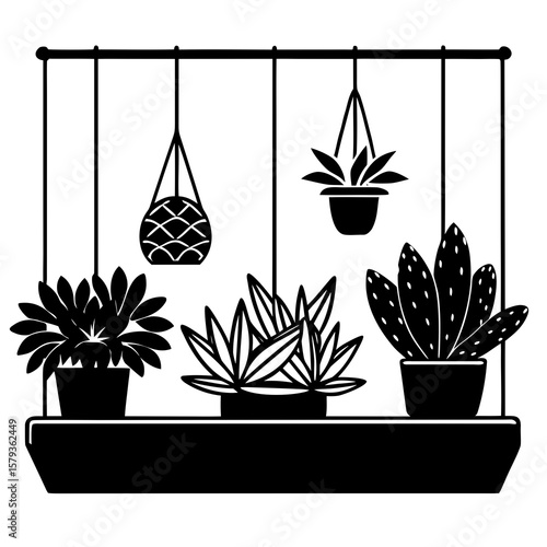 A wide windowsill filled with small potted herbs, cactus, succulents, and hanging planters. Bright and peaceful.