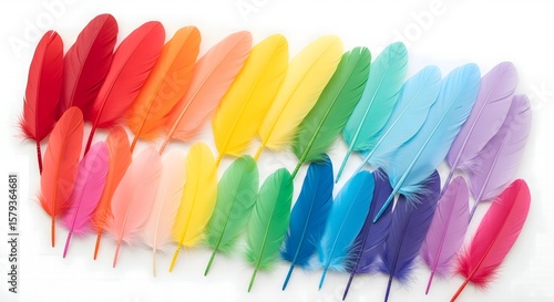 Wallpaper Mural Vibrant Feathers: A Spectrum of Colors

 Torontodigital.ca