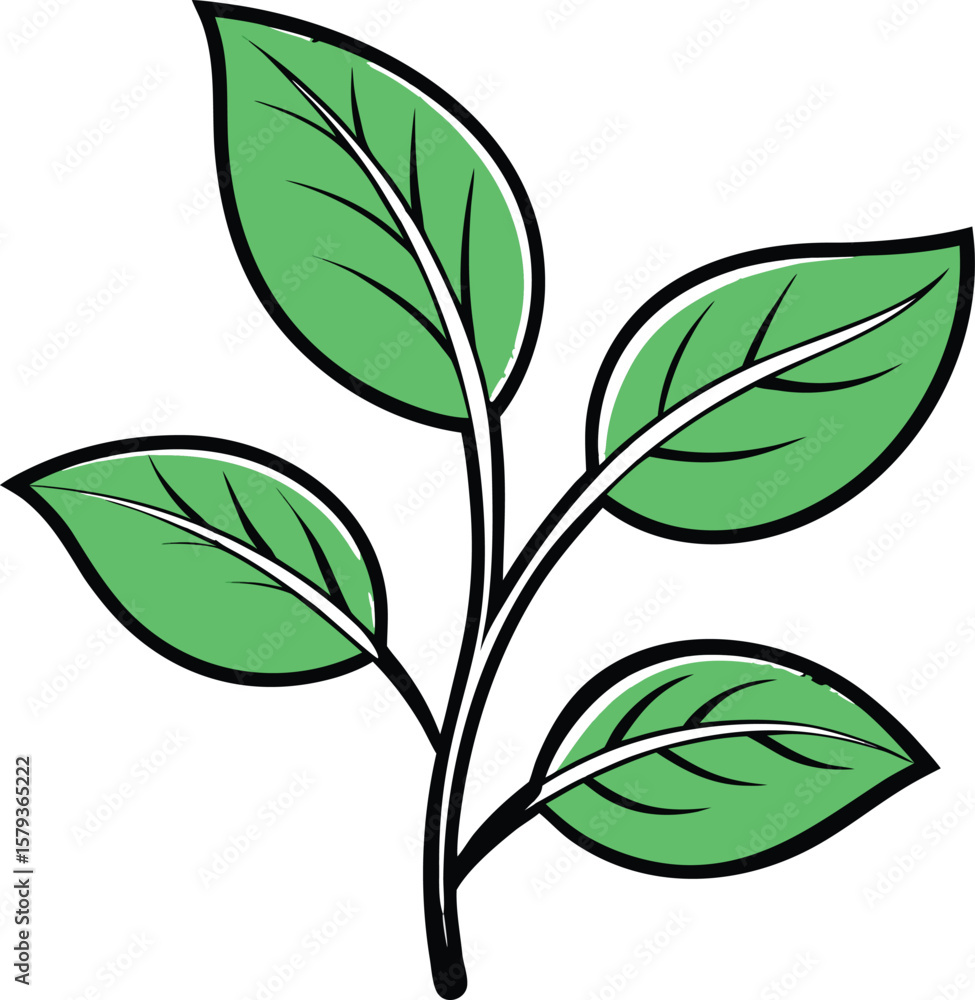 Fototapeta premium Adobe Illustrator Artwork