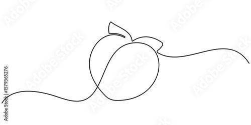 peach fruit continuous one line drawing, Peach fruit in continuous line art drawing style. Simple black sketch made of one line isolated on white background, Fresh peach continuous one line drawing.