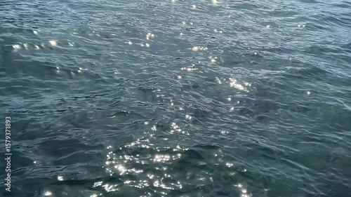 Wallpaper Mural Blue shiny water glitter surface with sun reflections. Sun glare and glint on the sea surface  Torontodigital.ca