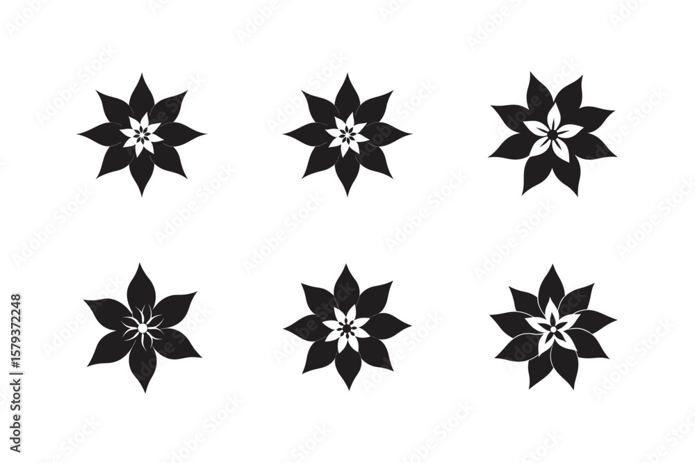 Obraz premium poinsettia flower vector art