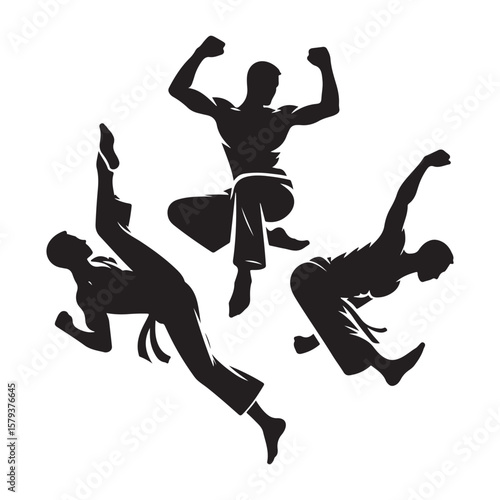 Martial Arts Silhouette: Three Dynamic Positions and Movements