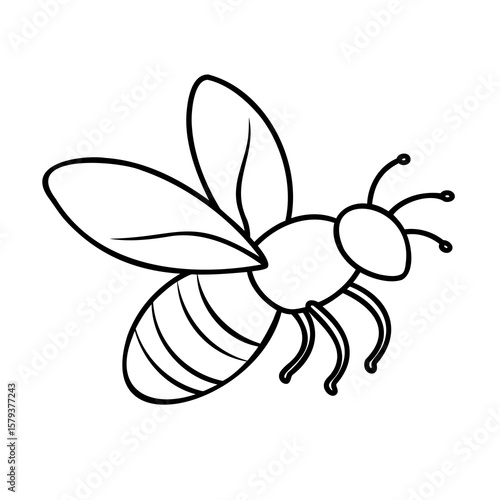 Outline a bee with wings antennae striped abdomen on insect
