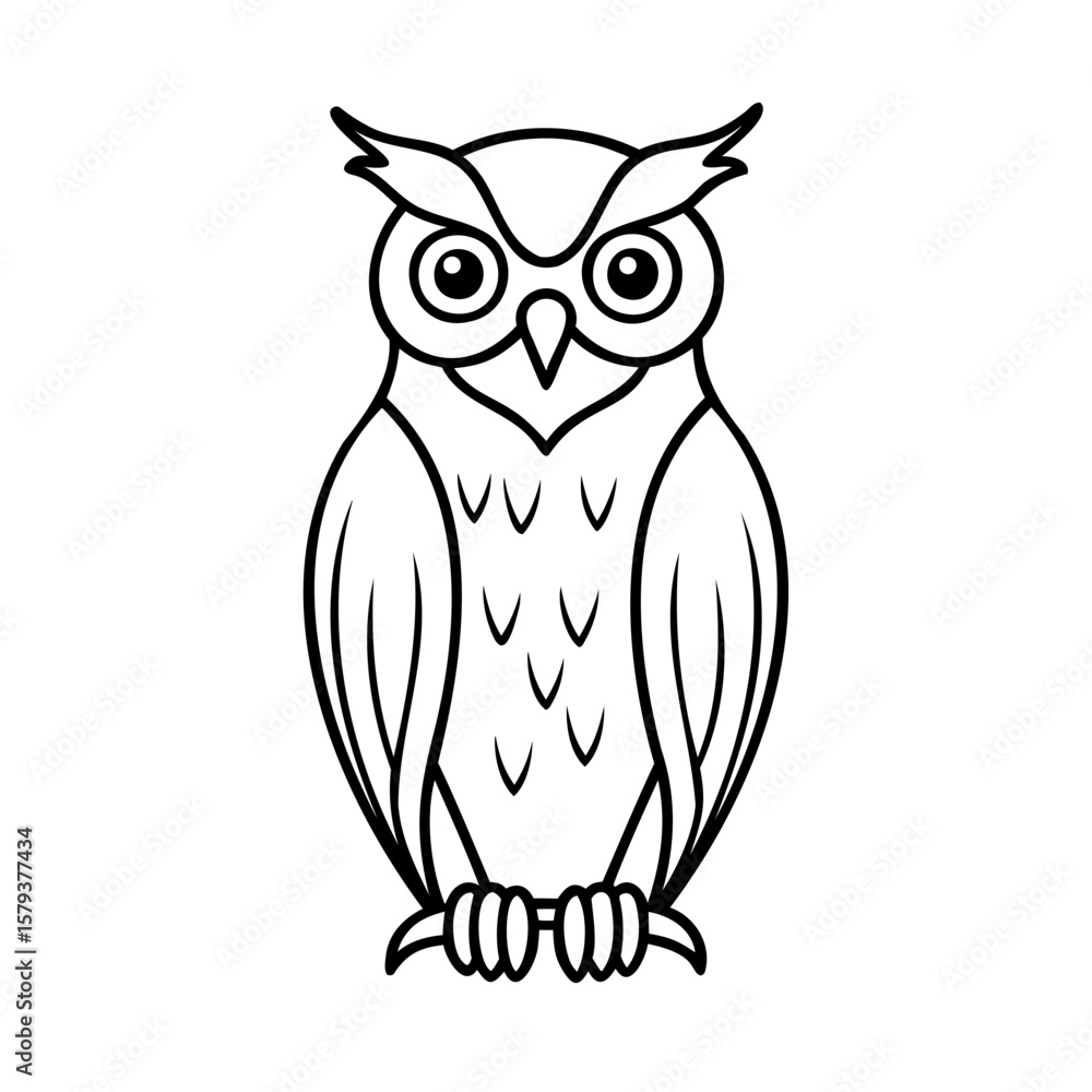 Owl with large eyes detailed feather markings on a bird animal Owl with large eyes detailed feather markings on a bird animal