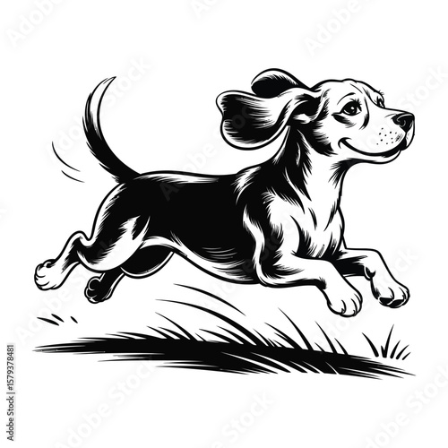 Black and white silhouette illustration of a running beagle with blurred tail and trailing ears in open grassy field