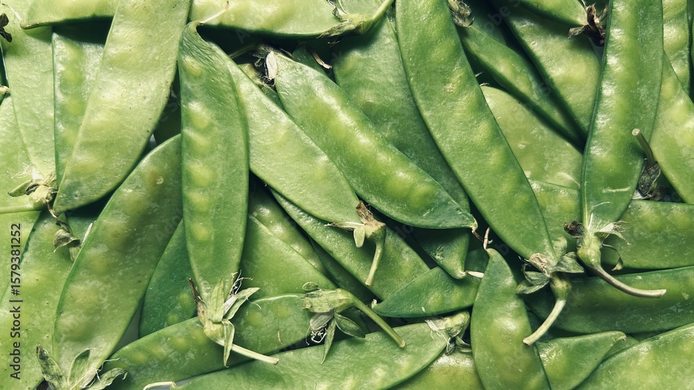 Fototapeta premium texture of fresh green beans