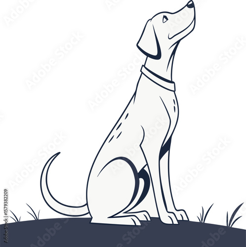 Loyal dog sitting patiently on grass looking upwards with a hopeful expression