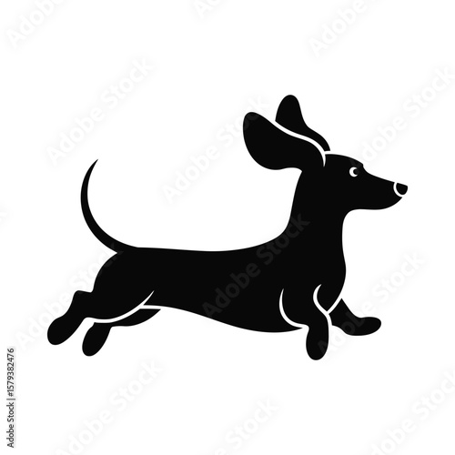 Silhouette vector of running dachshund with flying ears and stretched legs in side view, isolated in black and white
