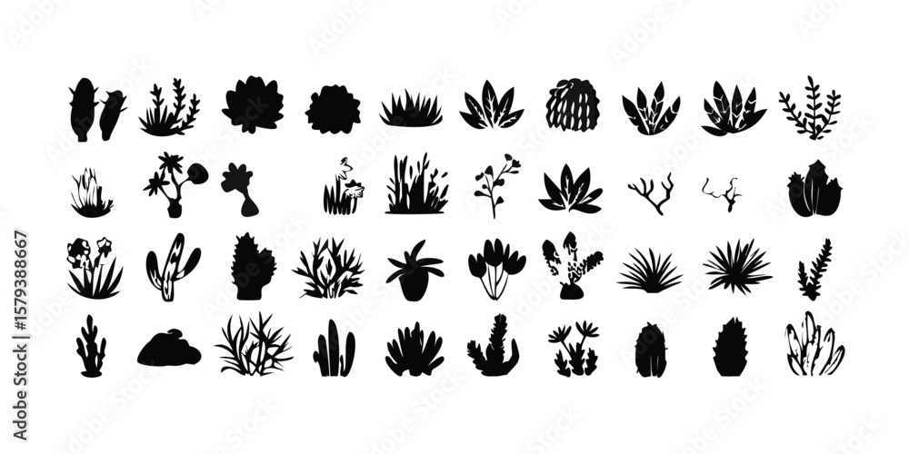 Fototapeta premium Set of 36 black and white cactus silhouettes vector