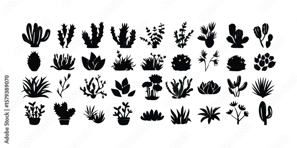 Fototapeta premium Set of 30 cactus and succulent silhouettes vector