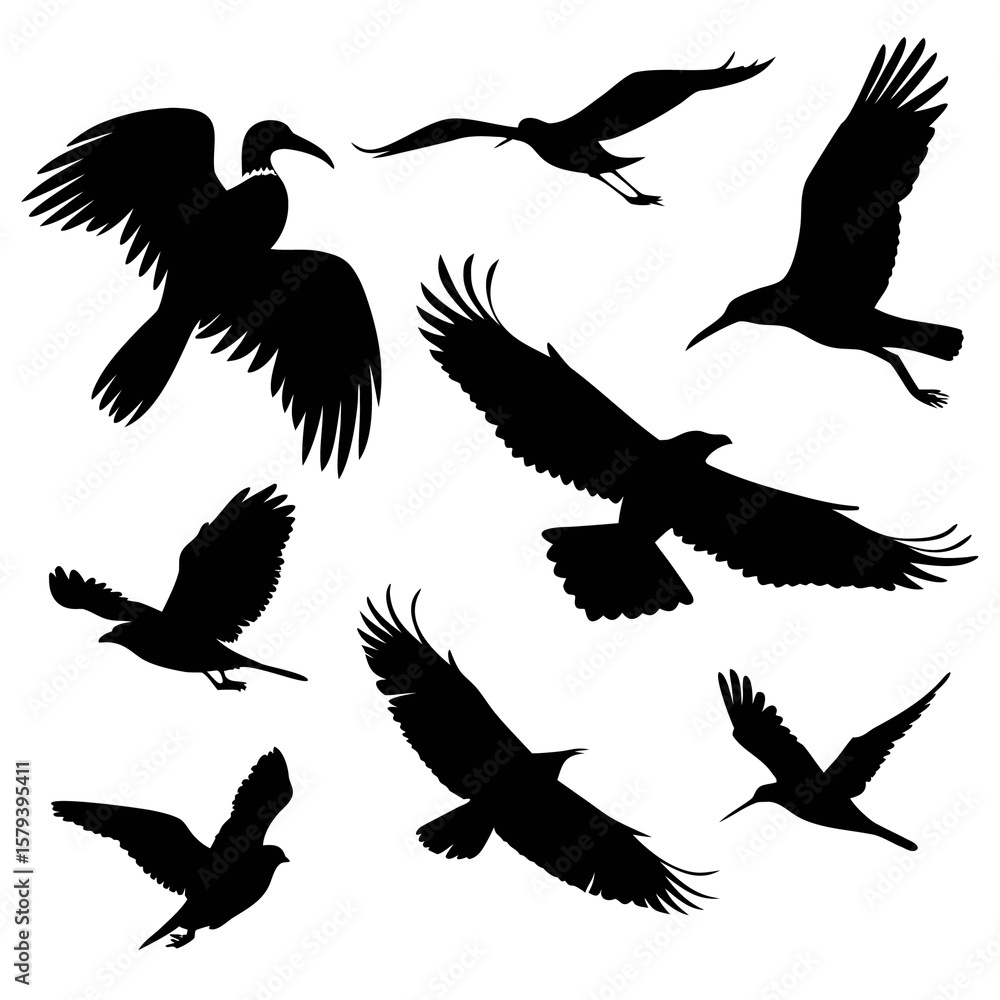 Fototapeta premium A collection of eight to ten unique bird a-collection-of-8-to-10-unique-bird-silhouettes