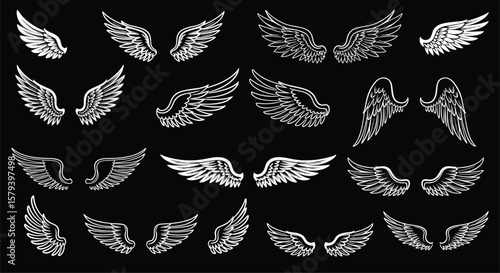 Collection of diverse angelic wings and feathered designs suitable for various artistic applications and creative projects