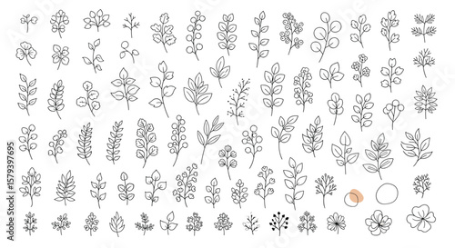 A comprehensive collection of small botanical line drawing elements for decorative design projects and crafting
