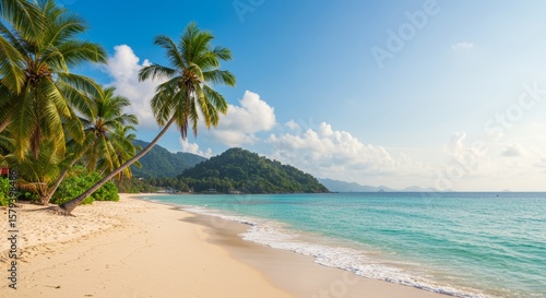 Fototapeta Naklejka Na Ścianę i Meble -  Idyllic Tropical Beach with Palm Trees and Turquoise Ocean