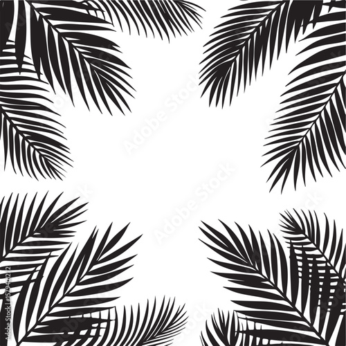 Black palm fronds framing white space palm leaves black and white