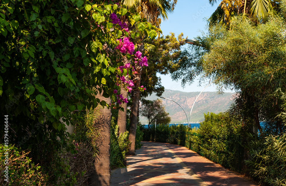 Obraz premium Promenade along the Mediterranean coast in Marmaris, with lush vegetation and flowers 