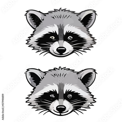 A raccoon sits up from the coffin with a look of disdain and a menacing look in its eyes.