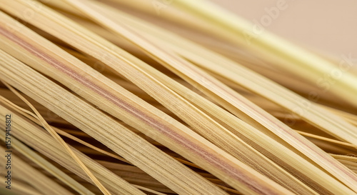 Wallpaper Mural Lemongrass Stalks Abstract A Textured Macro View of Aromatic Herb Torontodigital.ca