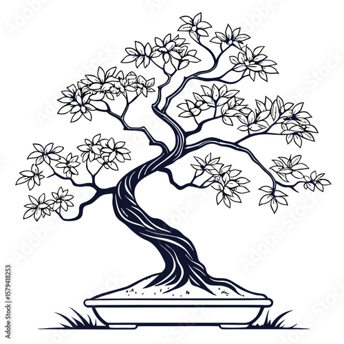 bonsai tree silhouette