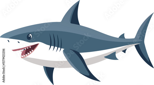 A vibrant vector illustration of a great white shark, a predator of the sea, swimming with its fin visible, isolated on white