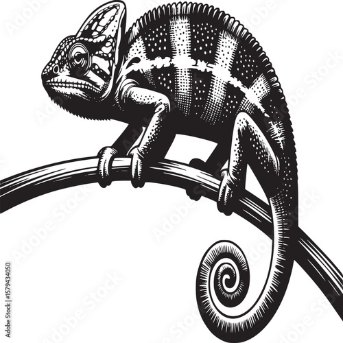 A monochrome chameleon perched on a branch with detailed patterns and a curled tail illustration art