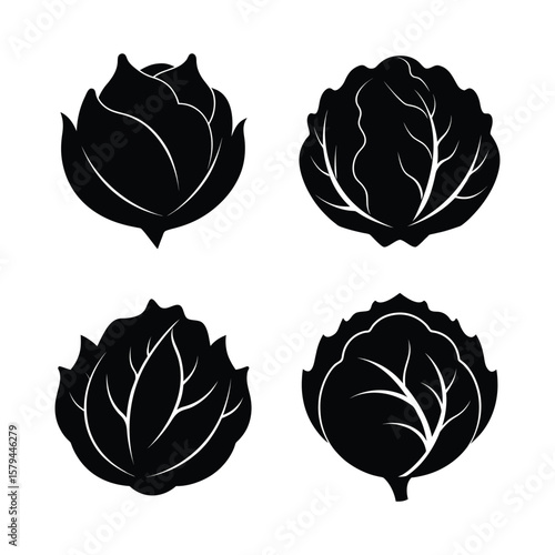 set of cabbage leaves
