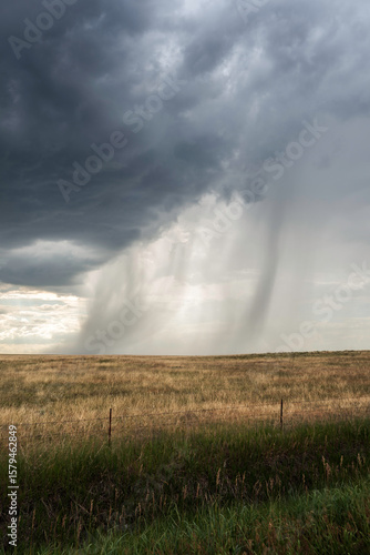 Rain spills over the cloud deck onto a wheat field in Nebraska.