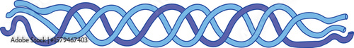 Structure of procollagen for biology lessons