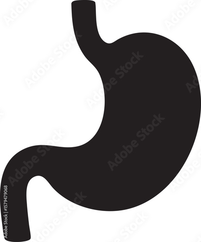 Black Silhouette of Human Stomach Anatomy on White Background for Medical or Educational Purposes