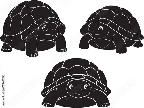 Turtle Hiding In Shell Cartoon silhouette