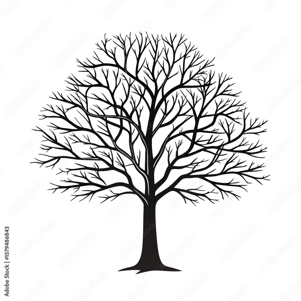 Obraz premium Bare tree silhouette black branches