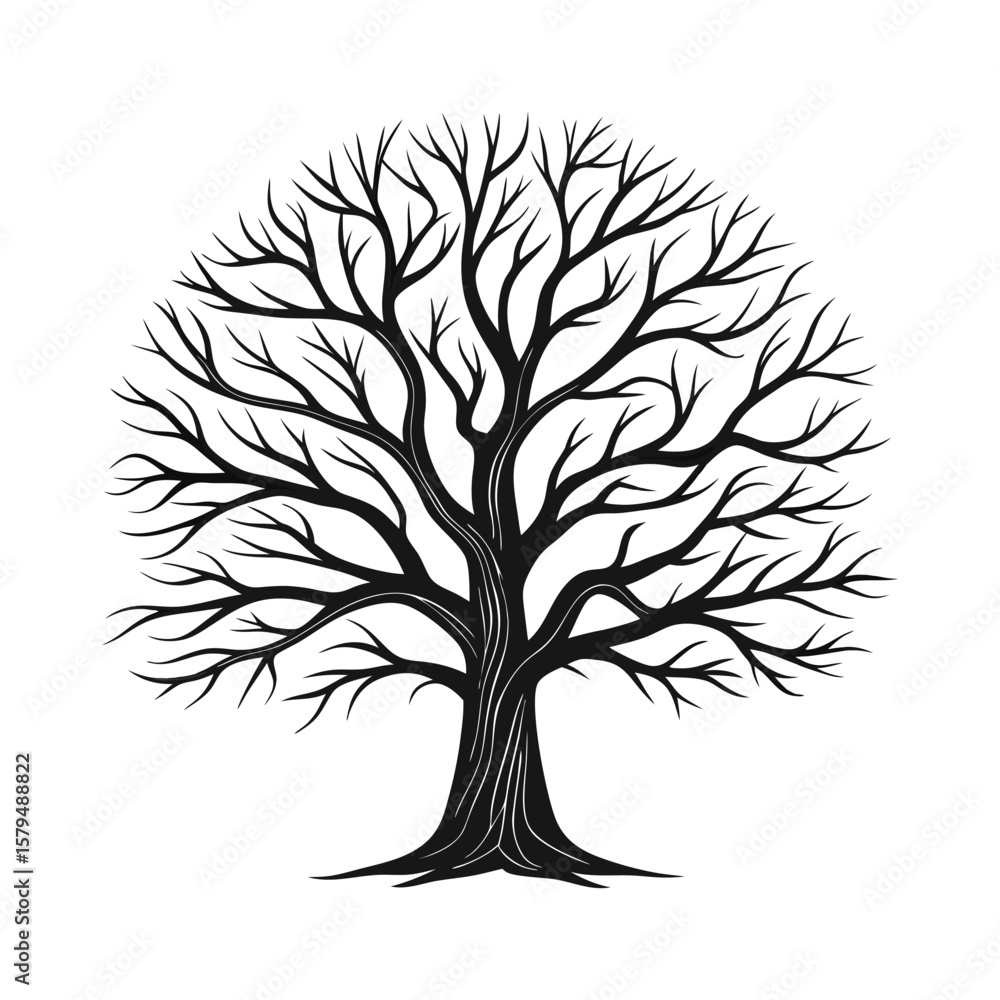 Obraz premium Detailed black silhouette of a bare tree white