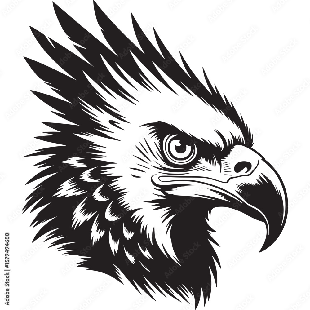 Fototapeta premium Detailed black and white line drawing of an eagle head facing right with sharp feathers and beak on transparent background