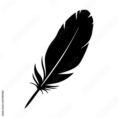 Black feather silhouette on white background  